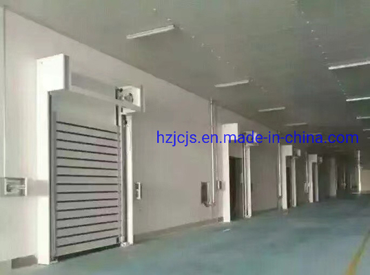 JTM-D05 Alüminyum Alaşım Hızlı Yuvarlanma Hızlı Eylemli Rol Kapak Spiral Garaj Kapısı